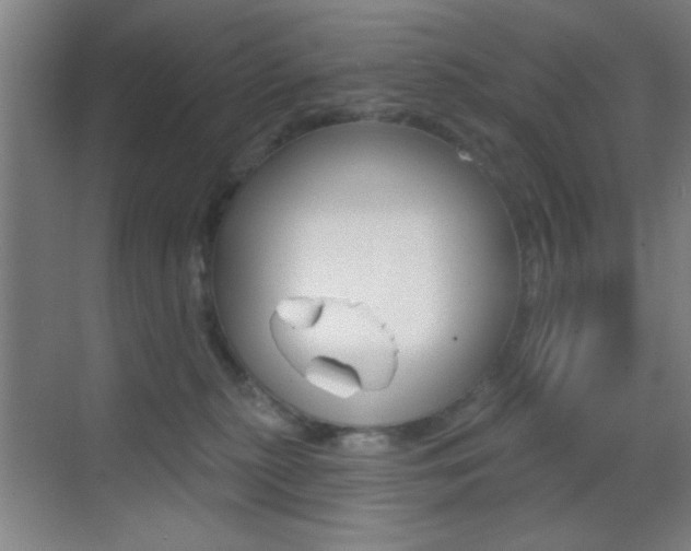 X0000069790279200605190851