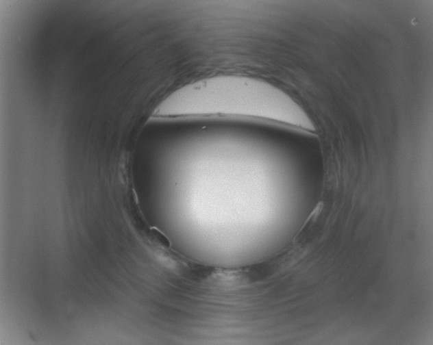 X0000069790280200605190851
