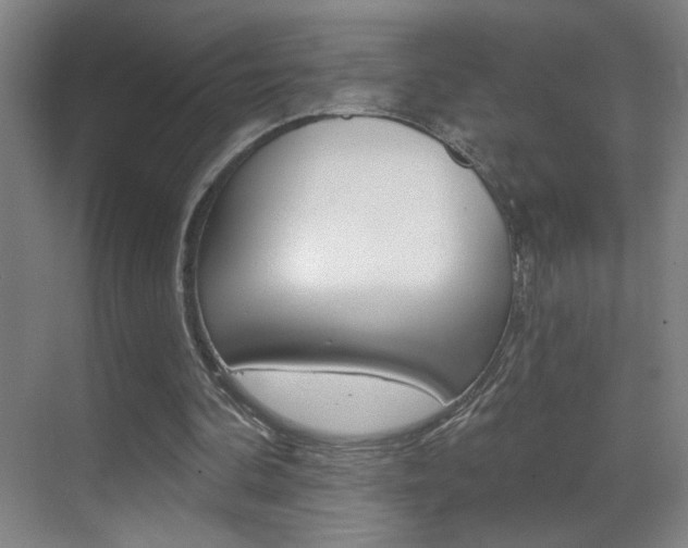 X0000069790292200605190851