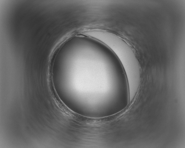 X0000069790293200605190851