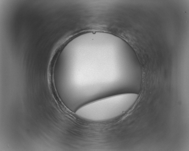 X0000069790294200605190851