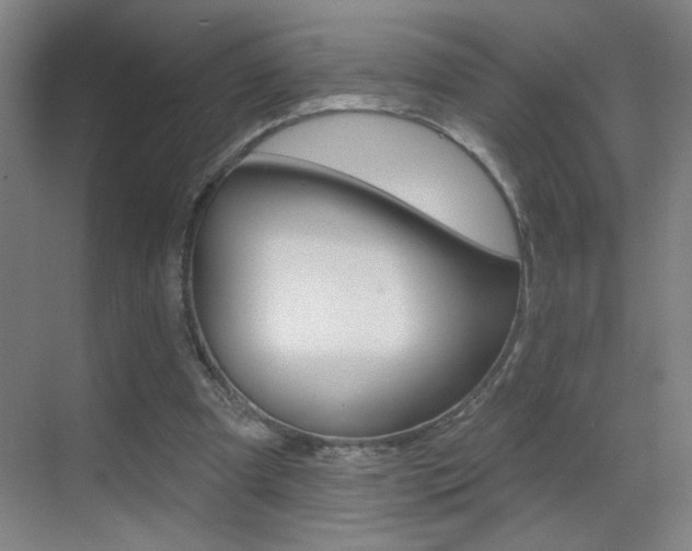 X0000069790297200605190851