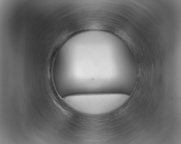 X0000069790302200605190851