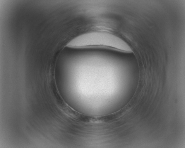 X0000069790311200605190850
