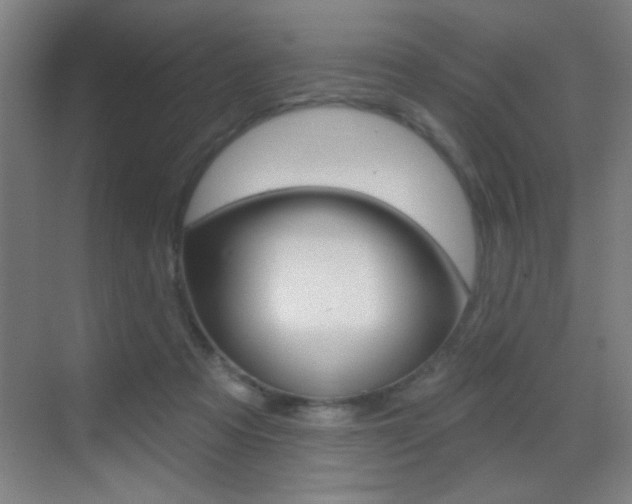 X0000069790313200605190850