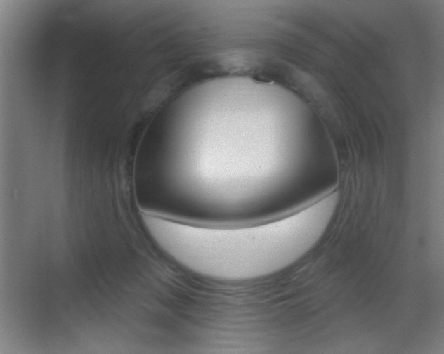 X0000069790317200605190850