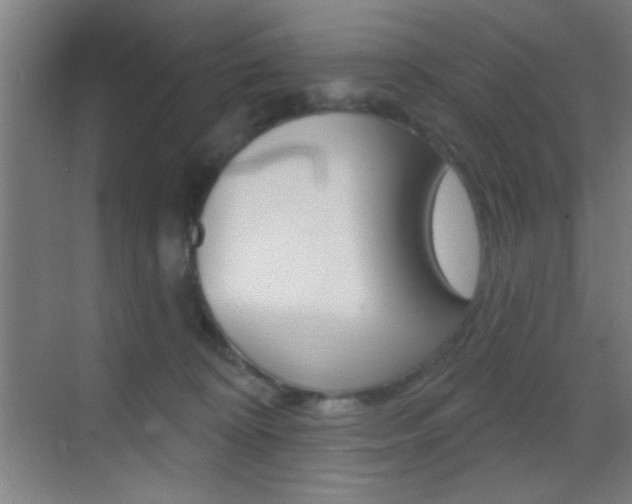 X0000069790324200605190850