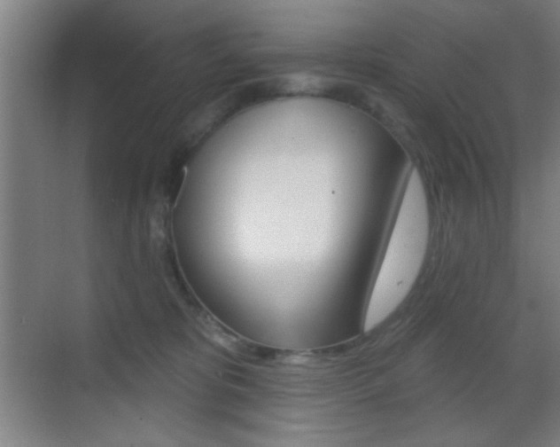 X0000069790325200605190850