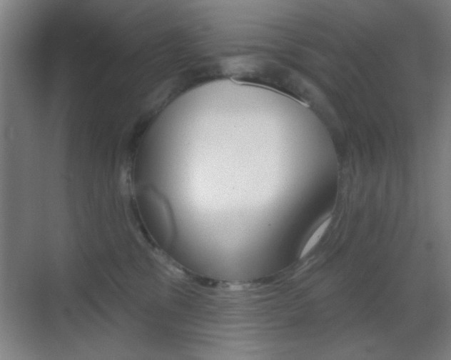 X0000069790329200605190850