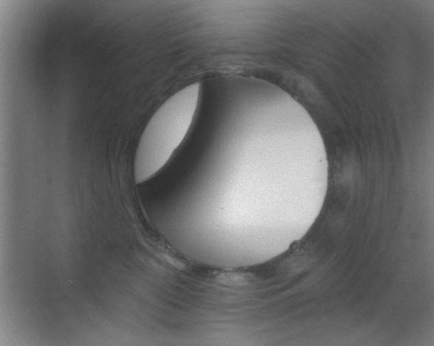 X0000069790332200605190850
