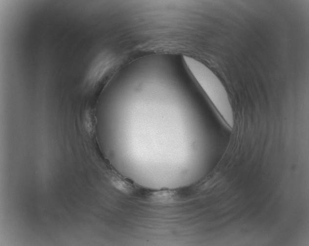 X0000069790335200605190850