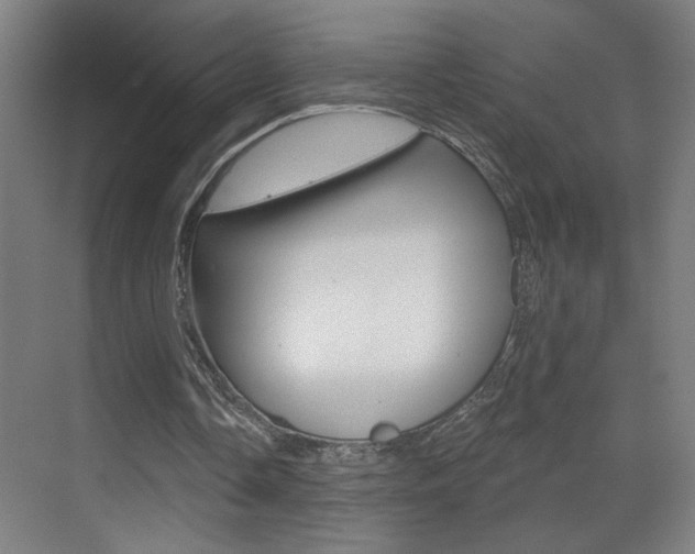 X0000069790338200605190849