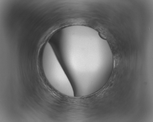 X0000069790339200605190849