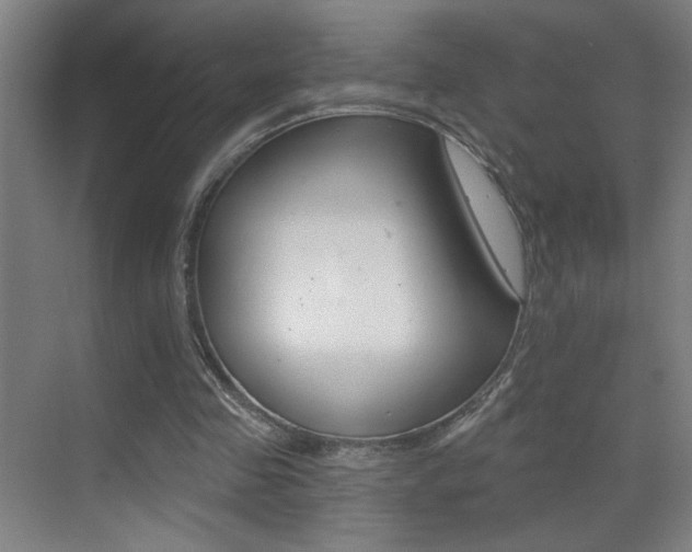 X0000069790341200605190849