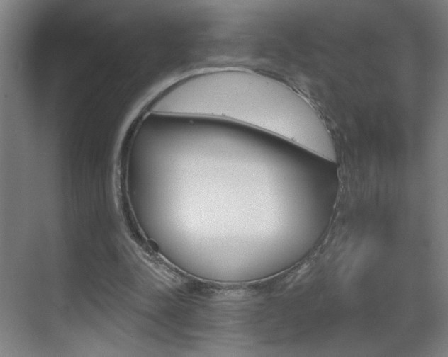 X0000069790342200605190849