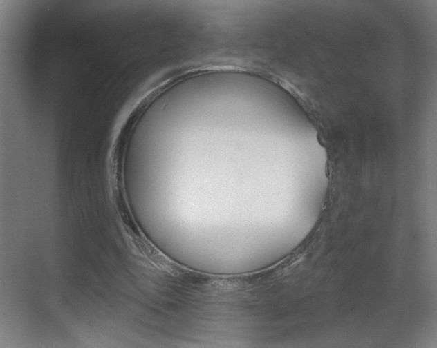 X0000069790343200605190849