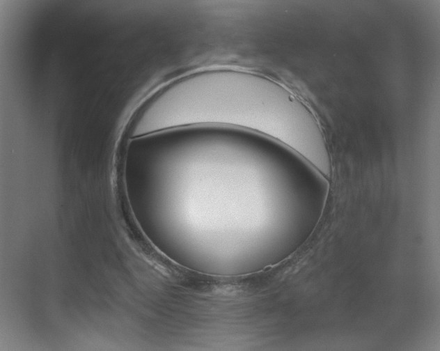 X0000069790344200605190849