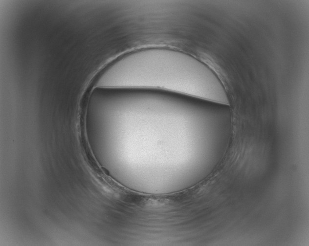 X0000069790346200605190849