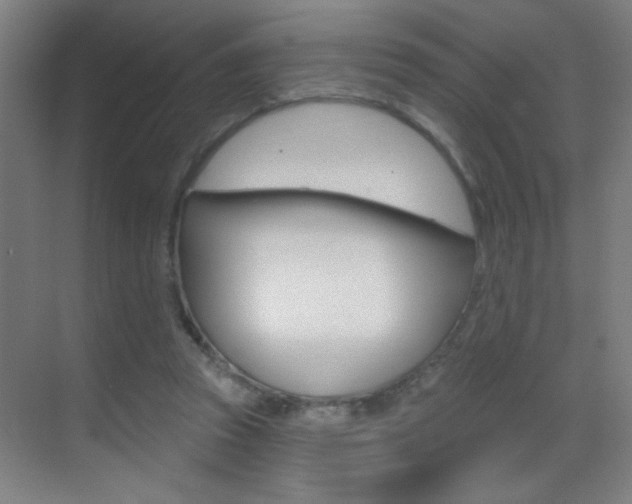 X0000069790353200605190849