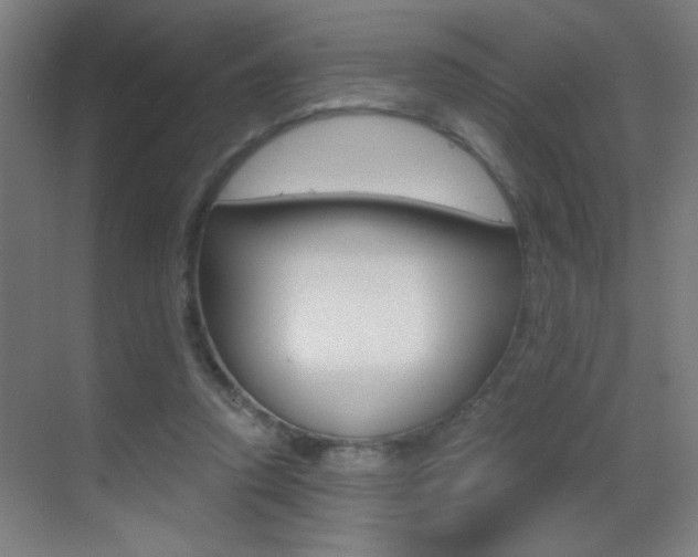 X0000069790354200605190849
