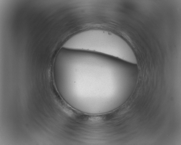 X0000069790357200605190849