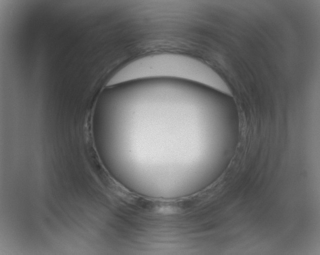 X0000069790360200605190850