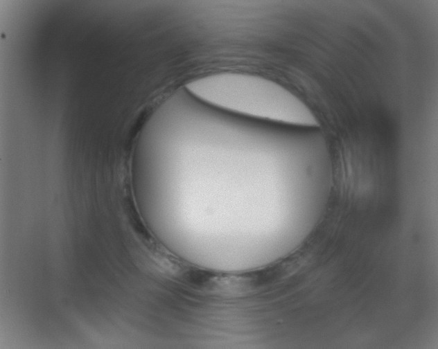 X0000069790367200605190850