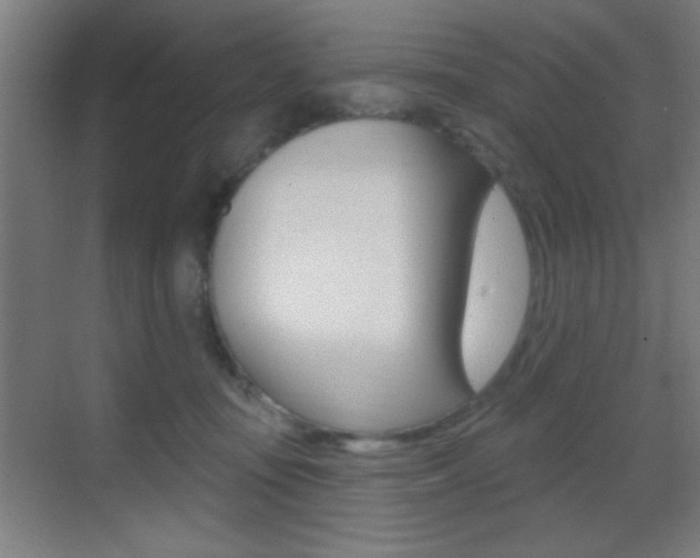 X0000069790371200605190850