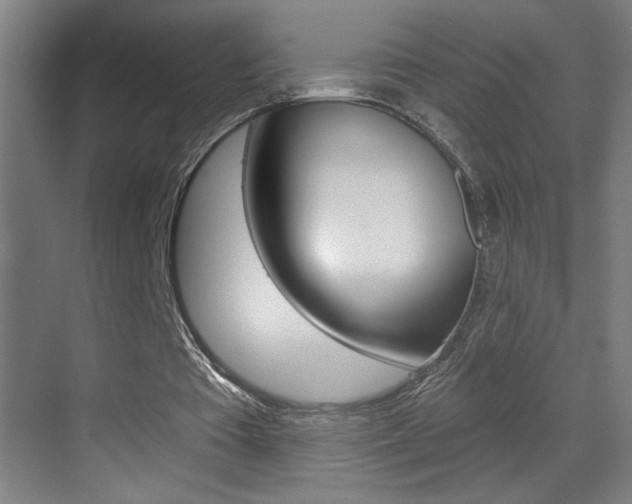 X0000069790385200605190849
