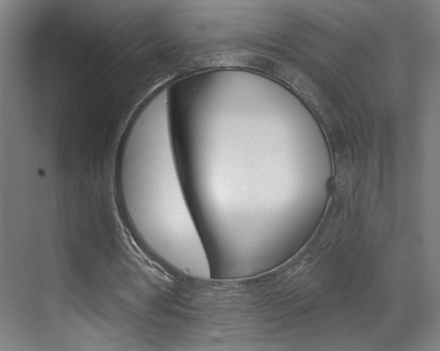 X0000069790386200605190849