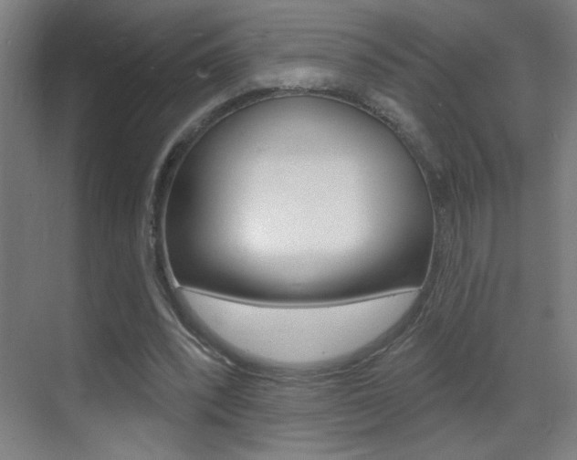 X0000069790392200605190849