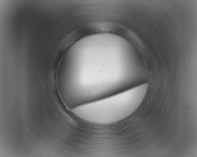 X0000069790410200605190849