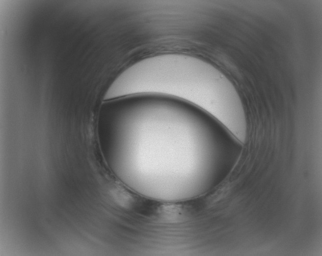 X0000069790413200605190849