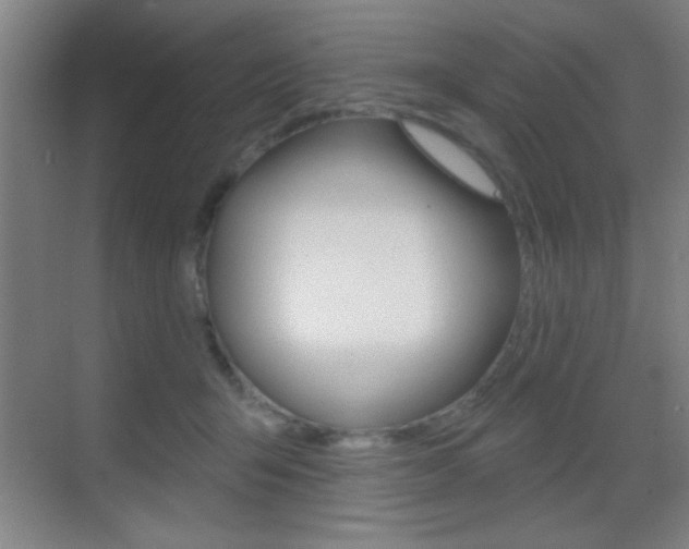 X0000069790415200605190849