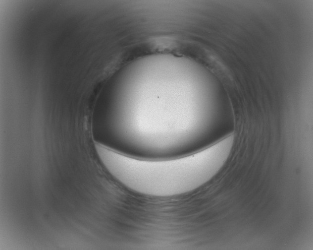 X0000069790417200605190849