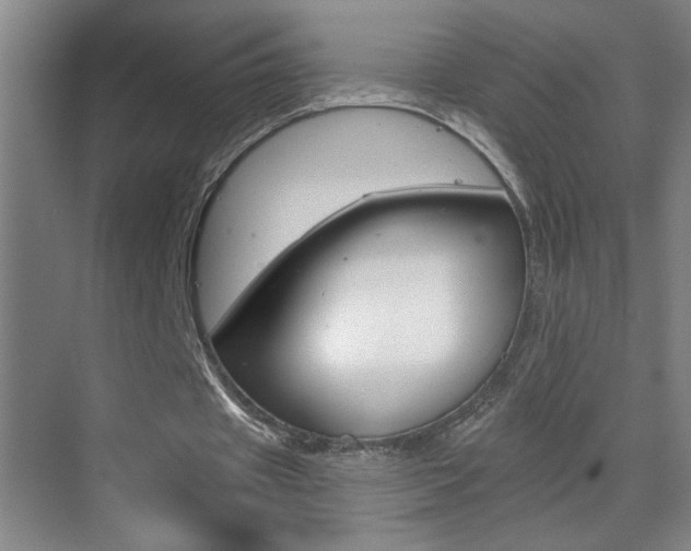 X0000069790433200605190848