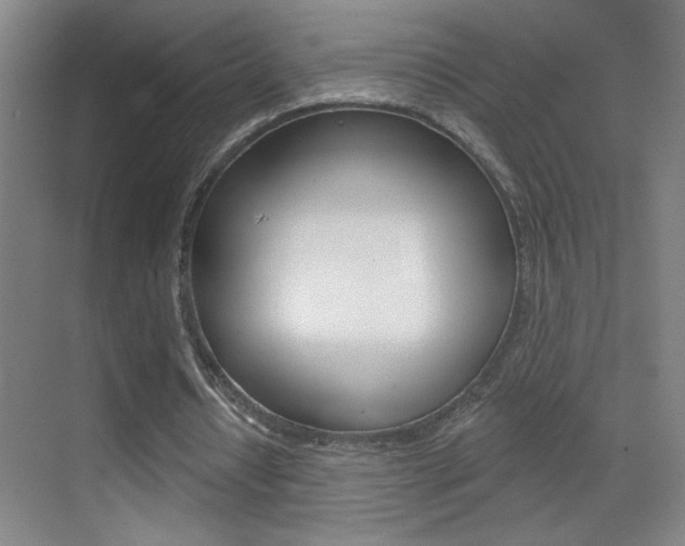 X0000069790434200605190848