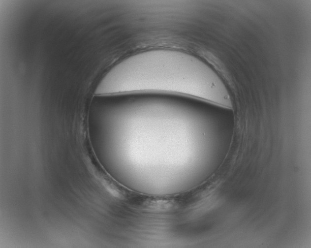 X0000069790449200605190848