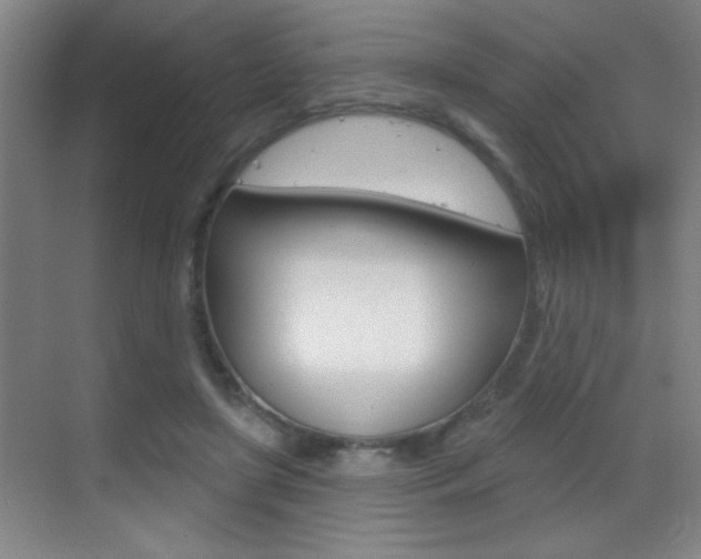 X0000069790451200605190848
