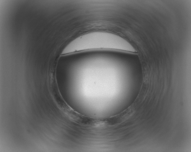 X0000069790456200605190848
