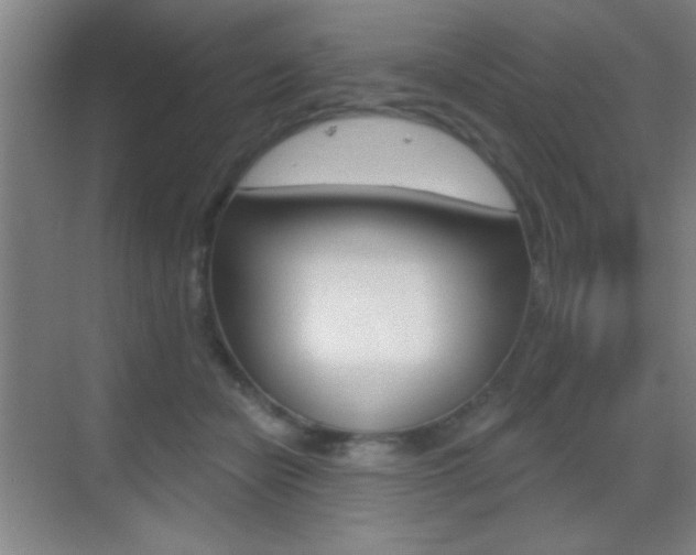X0000069790462200605190848