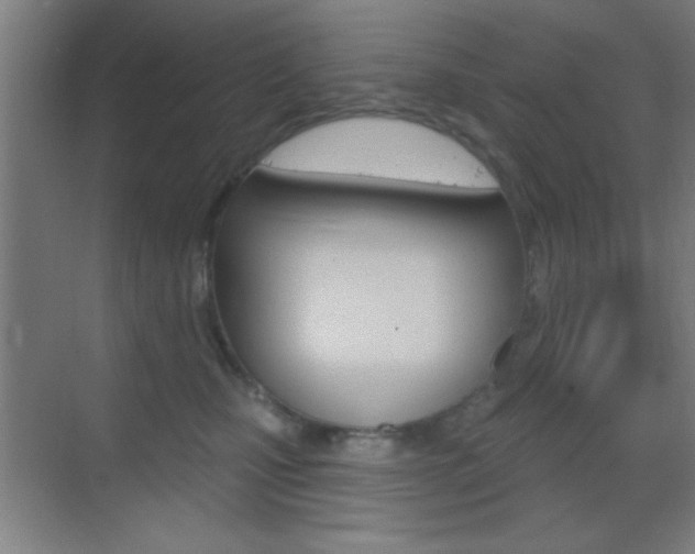 X0000069790471200605190848