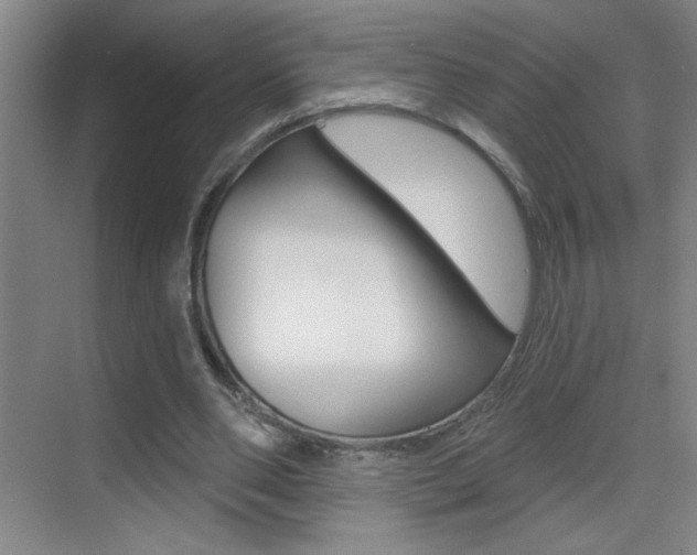 X0000069790486200605190847