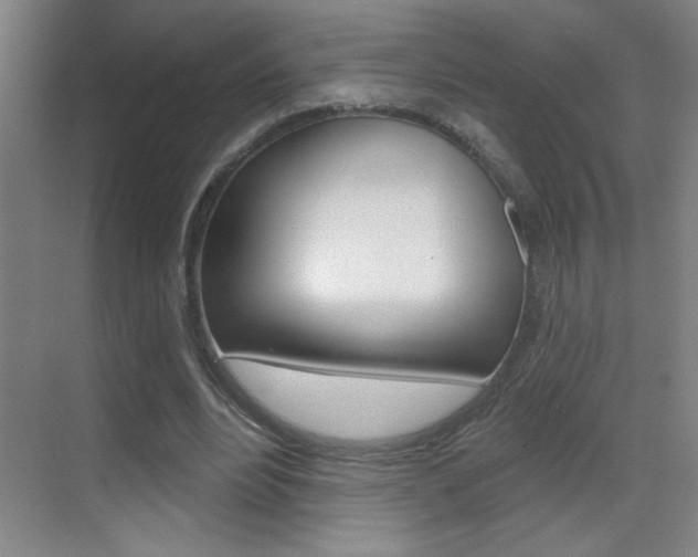 X0000069790488200605190847