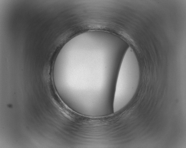 X0000069790490200605190847