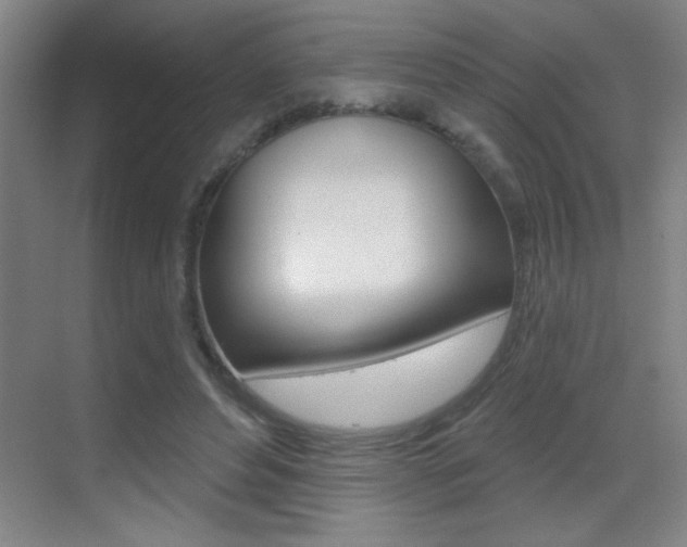 X0000069790496200605190847