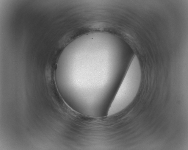 X0000069790504200605190847