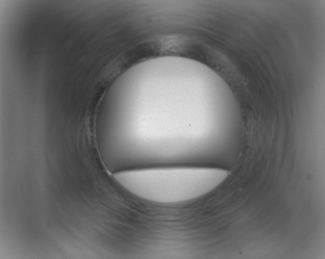 X0000069790506200605190847