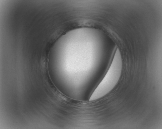 X0000069790513200605190847