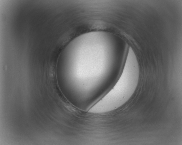 X0000069790517200605190847